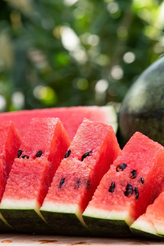 Arbuus: Vesi ja Elektrolüüdid